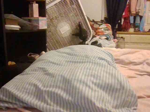 starlight1983 webcam