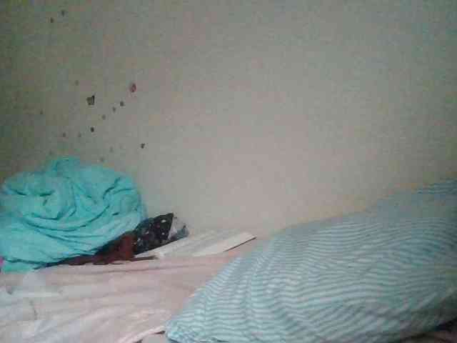 starlight1983 webcam