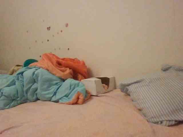 starlight1983 webcam