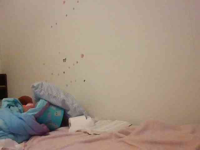 starlight1983 webcam