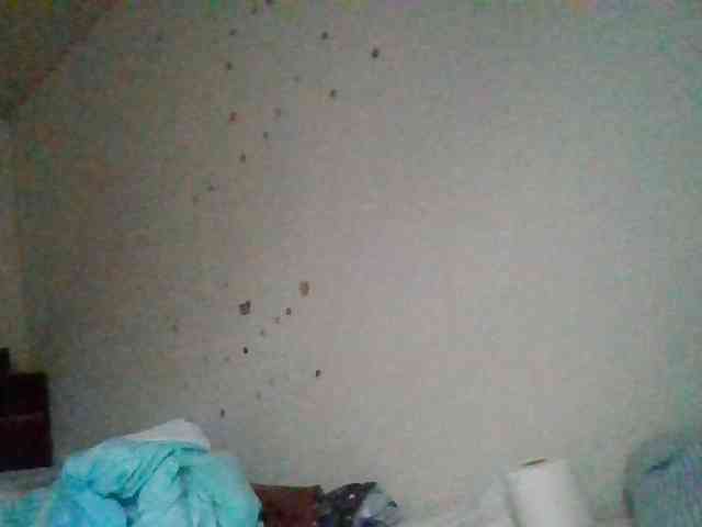 starlight1983 webcam