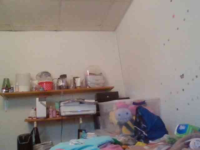 starlight1983 webcam