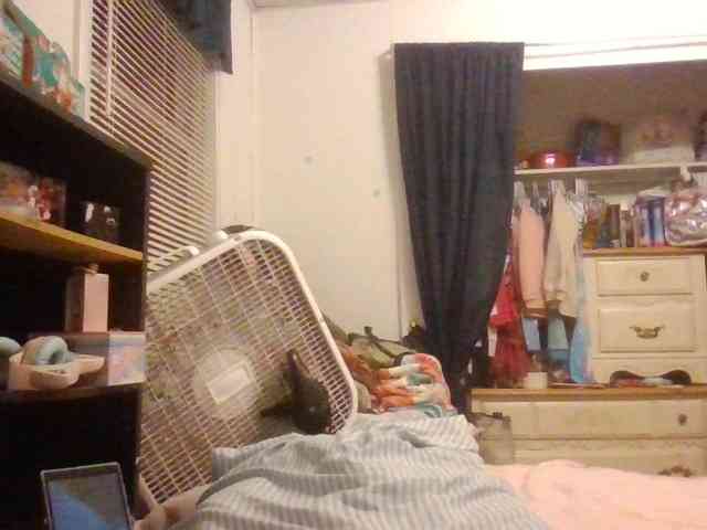 starlight1983 webcam