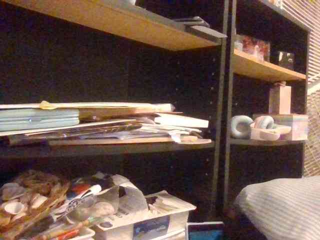 starlight1983 webcam