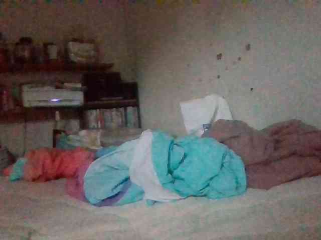 starlight1983 webcam