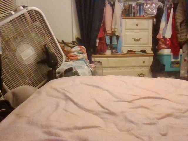 starlight1983 webcam