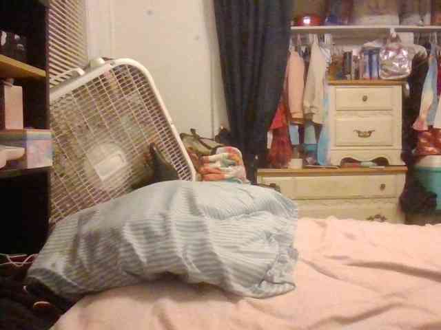 starlight1983 webcam