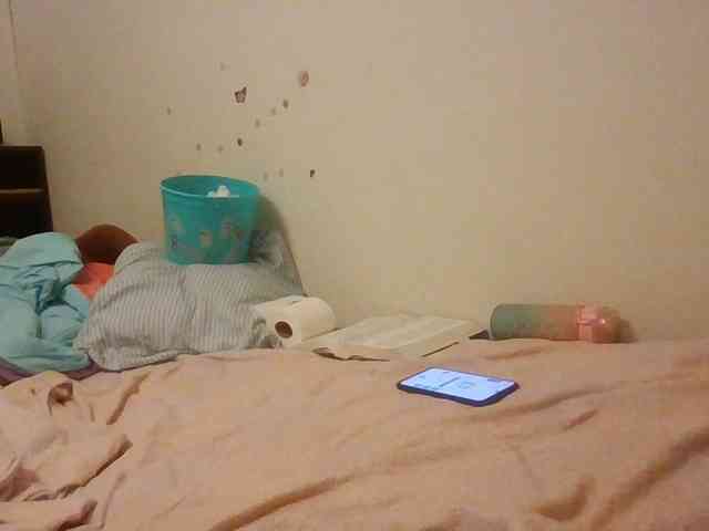 starlight1983 webcam