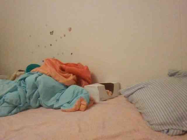 starlight1983 webcam