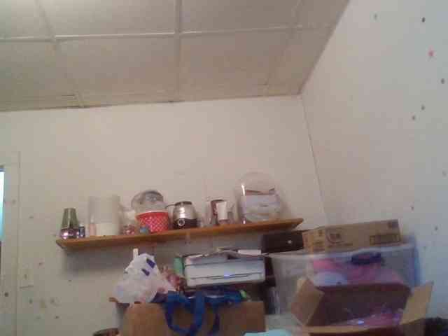 starlight1983 webcam
