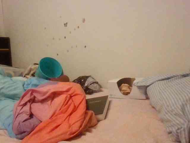 starlight1983 webcam