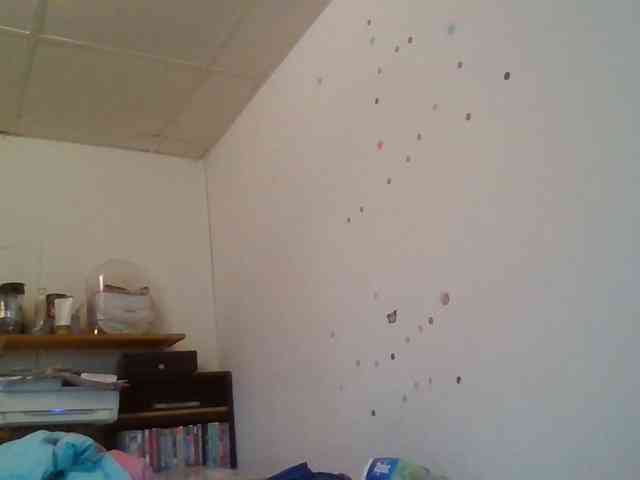 starlight1983 webcam