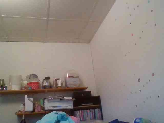starlight1983 webcam