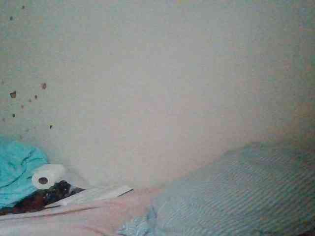 starlight1983 webcam