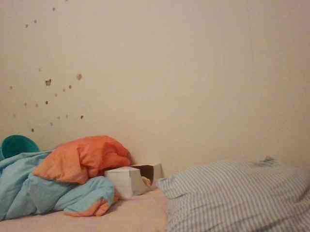 starlight1983 webcam