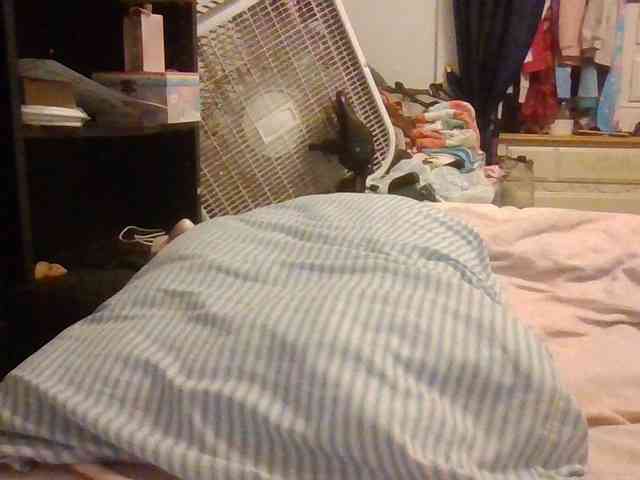 starlight1983 webcam