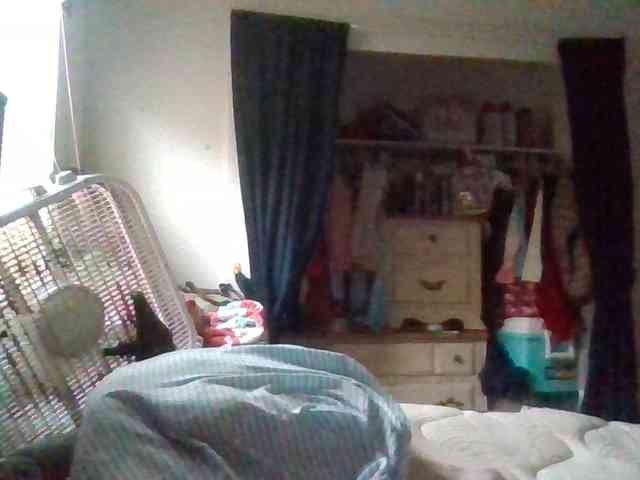 starlight1983 webcam