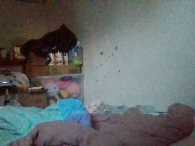 starlight1983 webcam