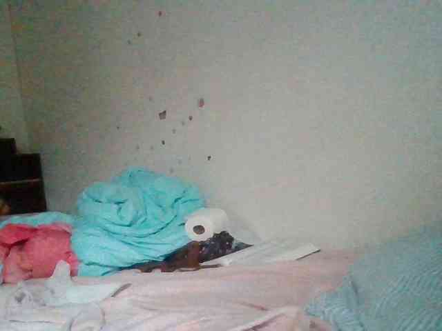 starlight1983 webcam