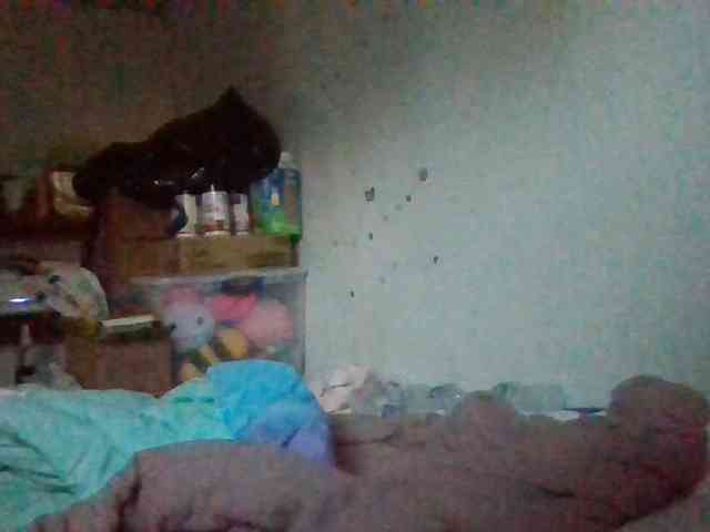 starlight1983 webcam