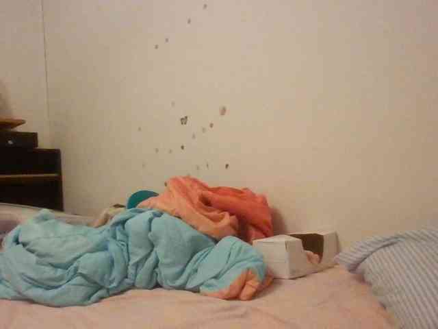 starlight1983 webcam