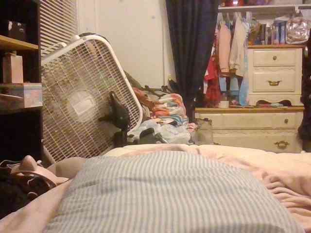 starlight1983 webcam