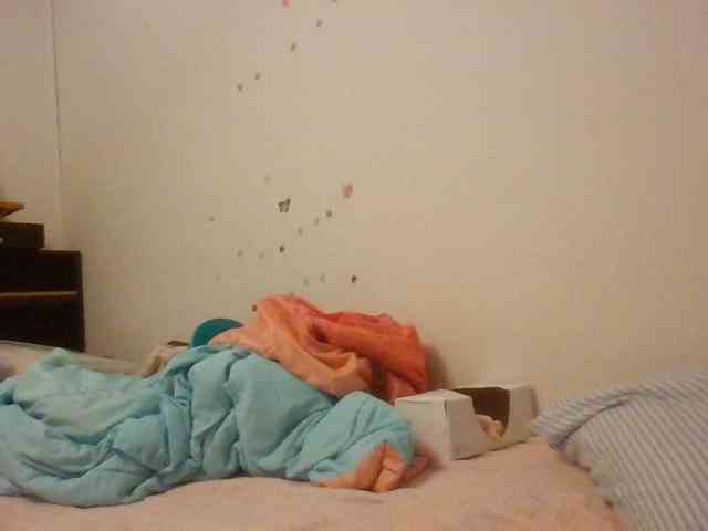 starlight1983 webcam