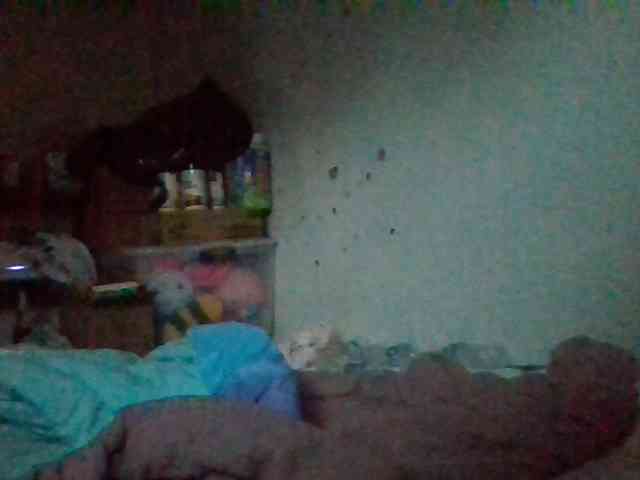 starlight1983 webcam