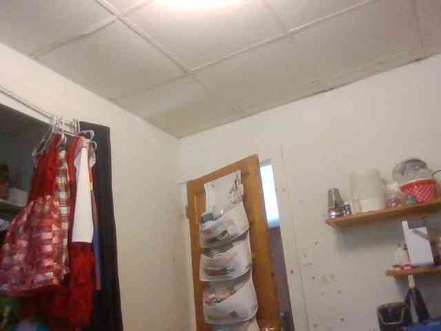 starlight1983 webcam