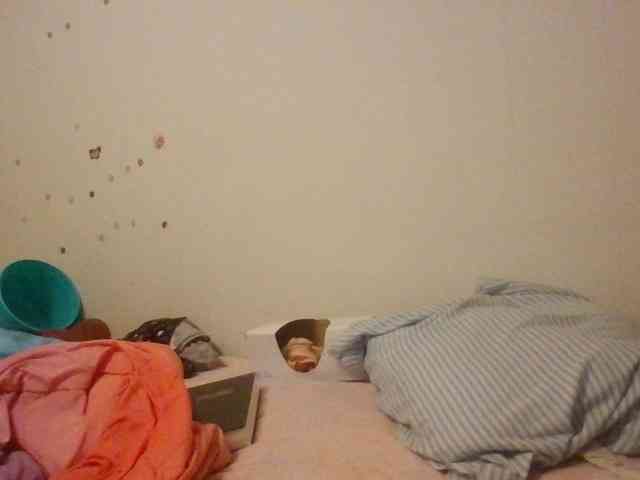 starlight1983 webcam