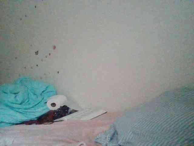 starlight1983 webcam