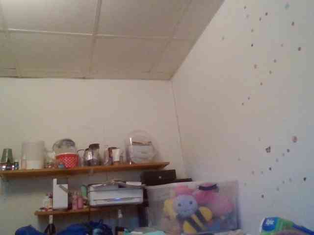 starlight1983 webcam