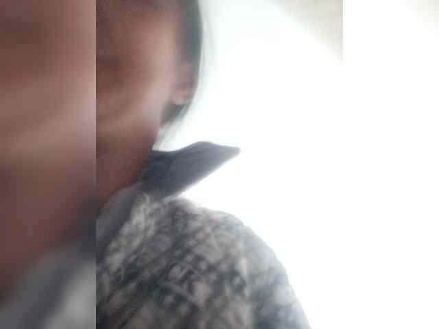 hujiajiajia1314 webcam