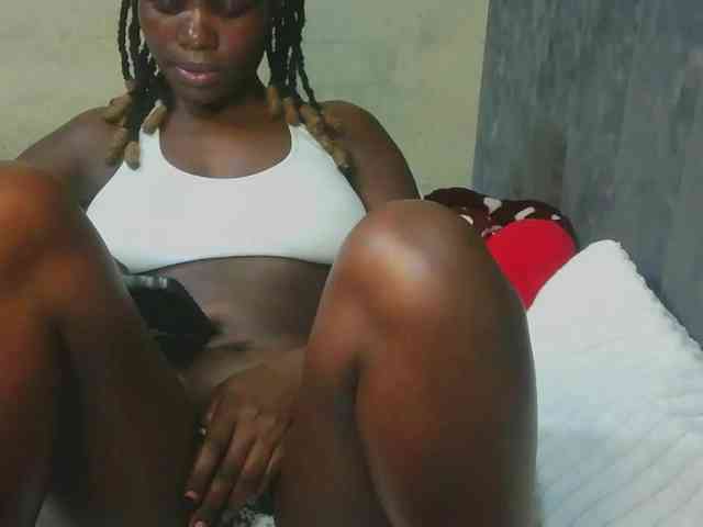 Dee260 webcam