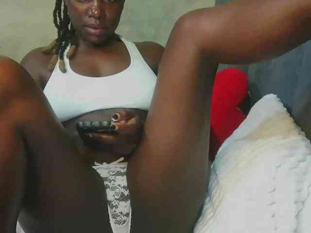 Dee260 webcam