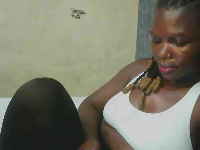 Dee260 webcam
