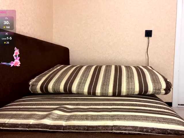 KaronVondielingen webcam