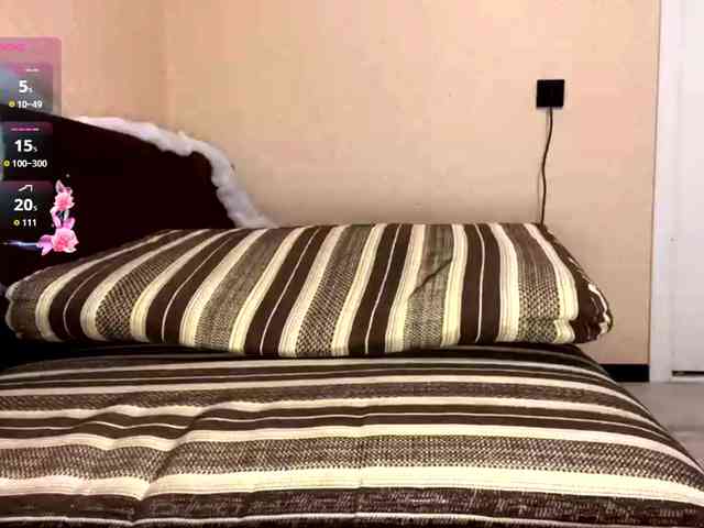 KaronVondielingen webcam