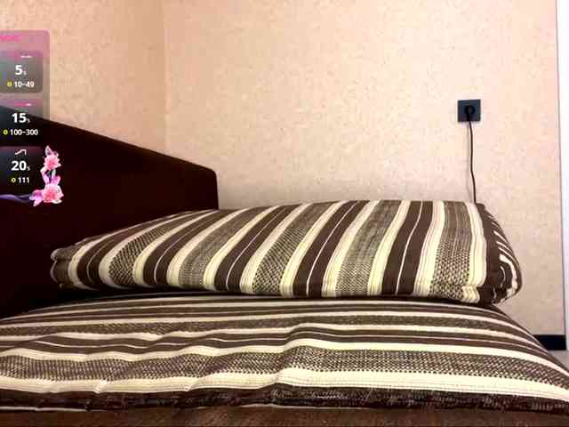 KaronVondielingen webcam