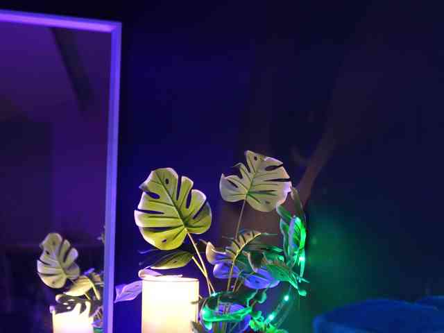 RubyRya webcam