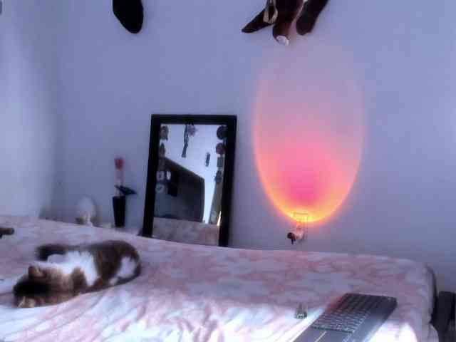 SherryBlossom webcam