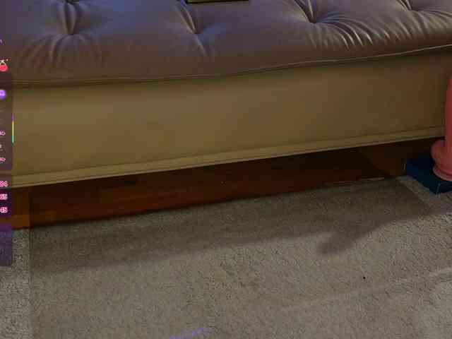 Pawg-Official webcam