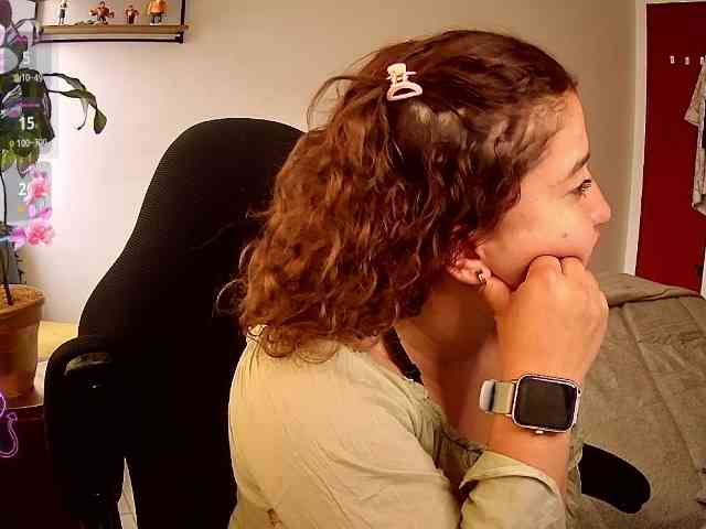 Silverlbeekerry webcam