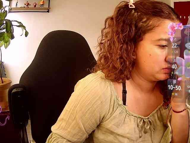 Silverlbeekerry webcam