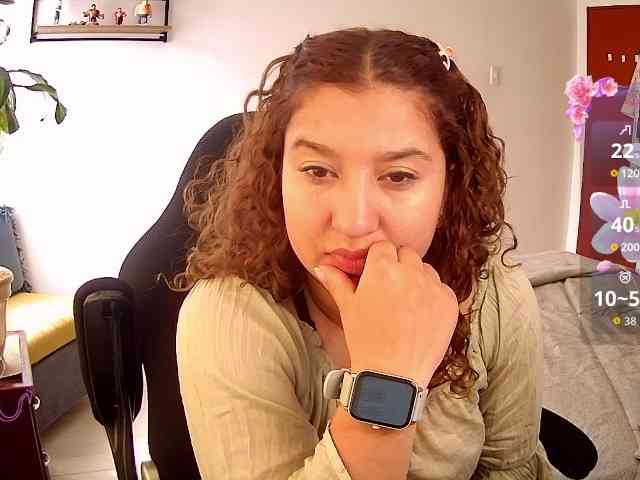 Silverlbeekerry webcam