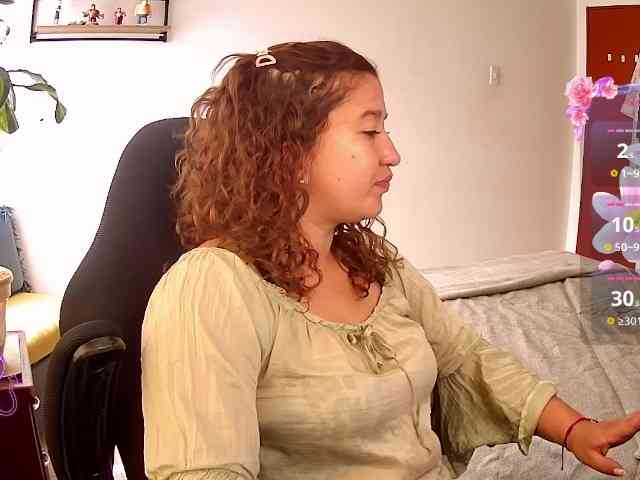 Silverlbeekerry webcam