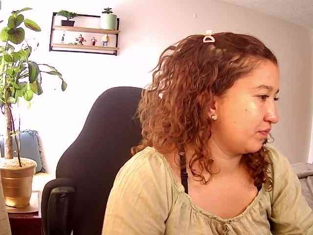 Silverlbeekerry webcam