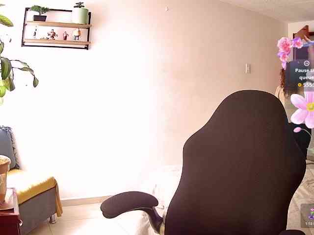 Silverlbeekerry webcam