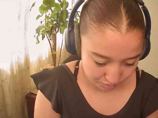 Silverlbeekerry webcam