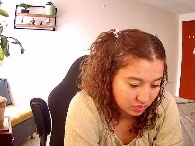 Silverlbeekerry webcam